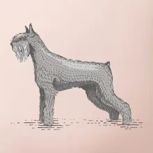 Vintage Schnauger