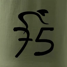 Cyklista oslavuje sedemdesiatpäťpäťky (75)