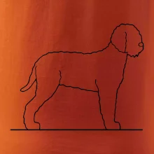 Lagotto romagnolo stojaci