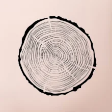 Letokruhy 40 bez veku