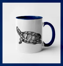 Ceruzkou kreslená korytnačka