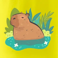 Kapybara vo vode Kapybara vo vode