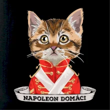 Napoleon domáci mačka