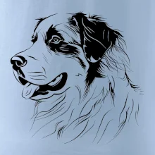 Bernský salašnícky pes čierna kresba