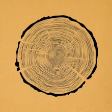 Letokruhy 100 bez veku