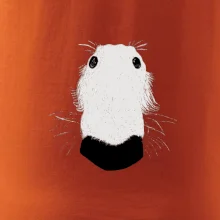 Barzoj čumák (Moňas)