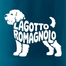 Lagotto romagnolo nápis v tele