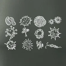 Set baktérií Set baktérií