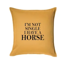 I have a horse I have a horse