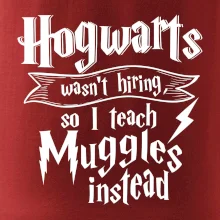 Harry - Hogwarts wasn’t hiring, so I teach Muggles instead