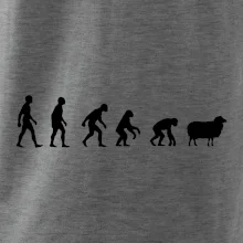 Evolúcia ovce Evolúcia ovce