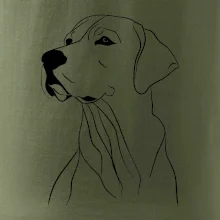 Labrador čierna kresba