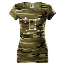 Súhvezdie - Gemini - Blíženci Súhvezdie - Gemini - Blíženci