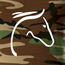 Kôň - hlava silueta