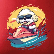 Lhasa Apso na vodnom skútri