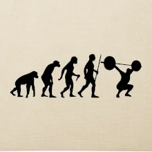 Evolution fitness