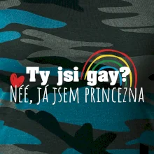 Gay princezna Gay princezna