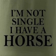 I have a horse I have a horse