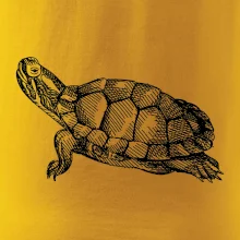 Ceruzkou kreslená korytnačka