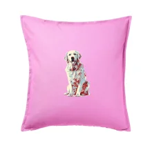 Zlatý retriever vintage