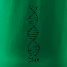 Cyklistovo DNA