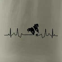 Jack Russell Terriér Ekg