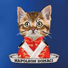 Napoleon domáci mačka
