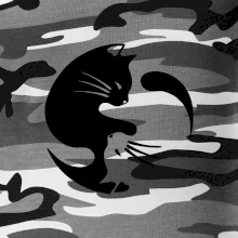 Mačka - Jin jang Mačka - Jin jang