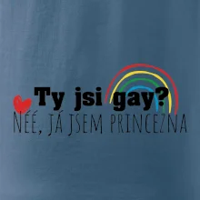 Gay princezna