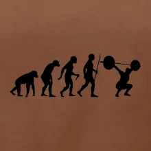 Evolution fitness