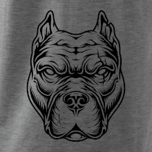 Americký stafordšírsky teriér hlava