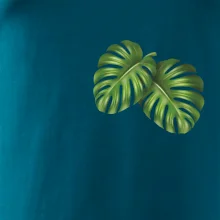 Monstera listy na prsu