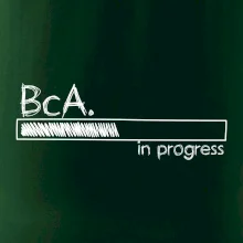 In progress titul BcA. bakalár / bakalárka umenia