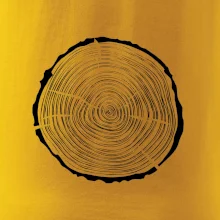 Letokruhy 35 bez veku