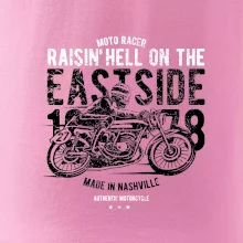 Raisin Hell Moto Racer