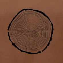 Letokruhy 45 bez veku