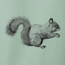 Veverička kresba