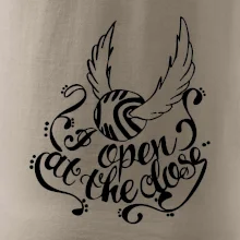 Harry - Zlatá strela