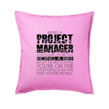 Being A Project Manager - bike