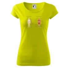 Skelet and Moscular system