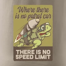 Korytnačka na cestách