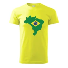 Brazília vlajka v mape