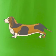 Vintage basset