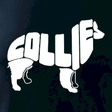 Border kólia písmo v tele Border kólia písmo v tele