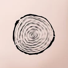 Letokruhy 15 bez veku