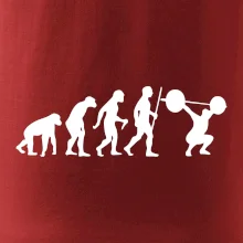 Evolution fitness