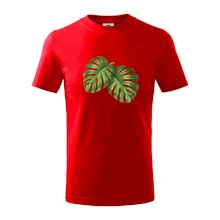 Monstera - dva listy Monstera - dva listy