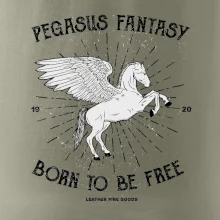 Pegasus fantasy