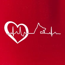 Nemecký ovčiak ekg