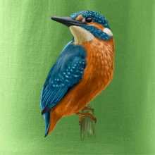 Ľadnáčik kreslený